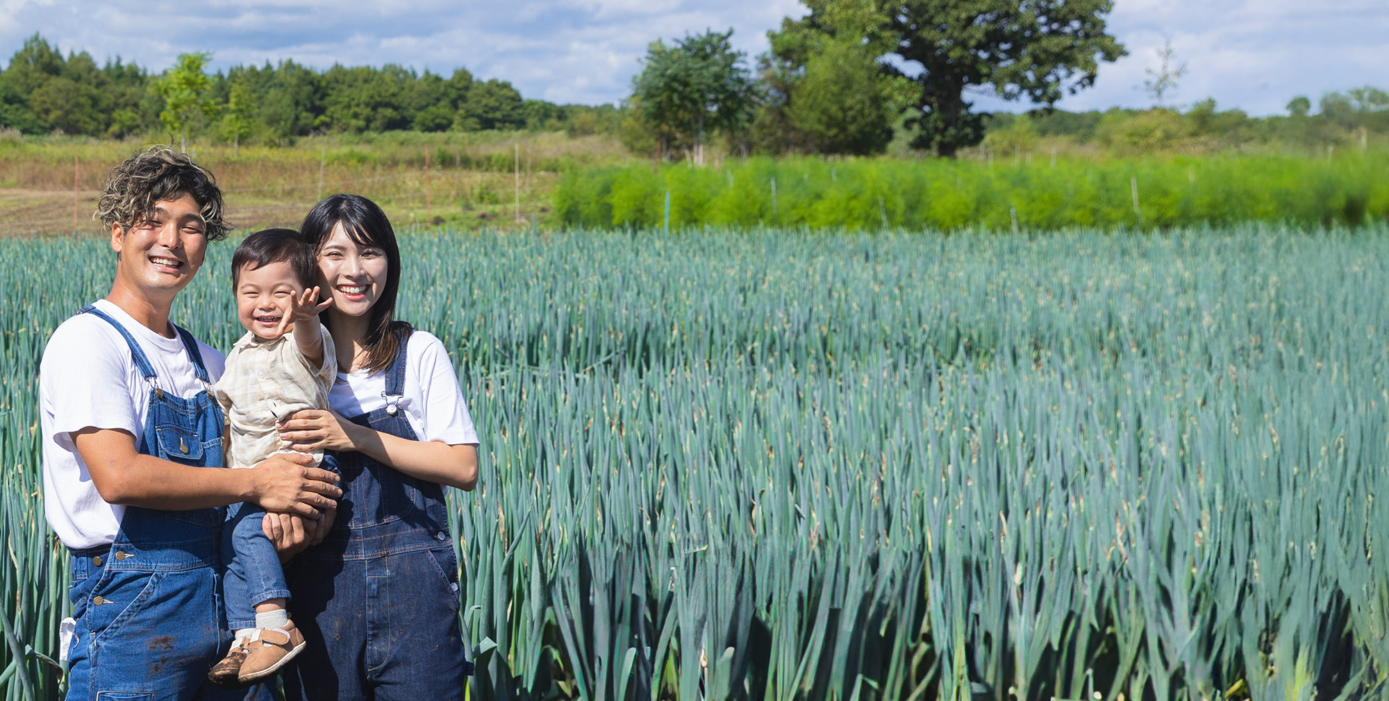 北海道の恵みと愛情をいっぱい受けた美味しい野菜ができました